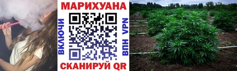 Наркотические вещества Богородицк Бошки Шишки  Кокаин  ГАШИШ  A PVP  NBOMe  гидра онион  МЕФ 